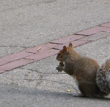 n17908181_30102643_3739